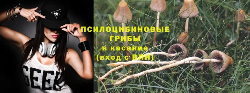 Галлюциногенные грибы Magic Shrooms  Анадырь 